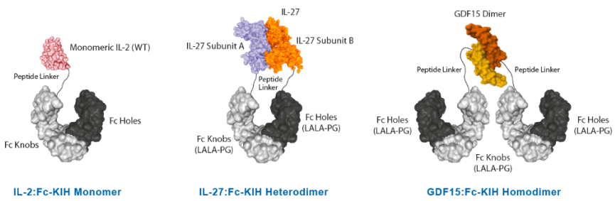 AdipoGen InVivoKines系列重组蛋白