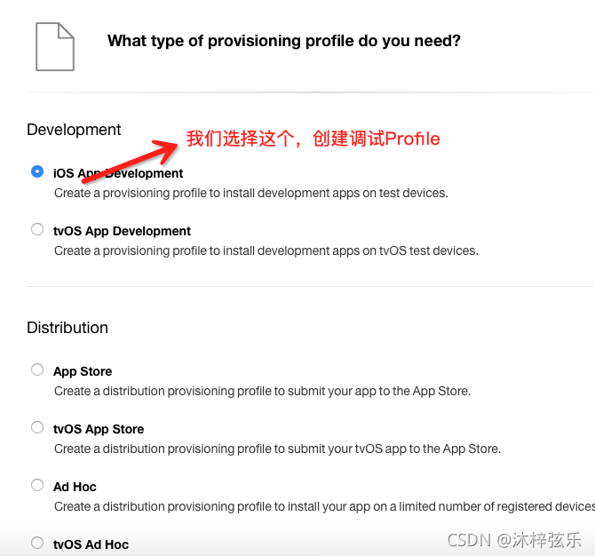 iOS 史上最全App上架流程分享_ios上架app流程-CSDN博客