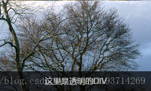这里写图片描述