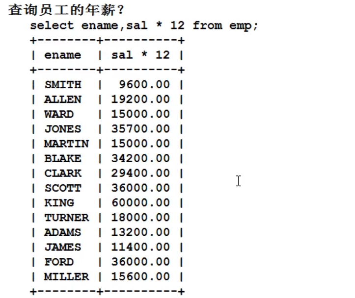 image-20220207101927626