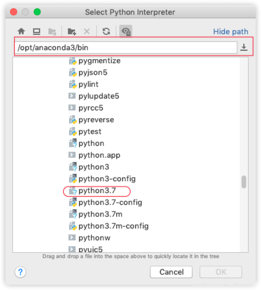 选择bin目录下的Python