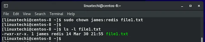 change-file-group-owner-chown-command
