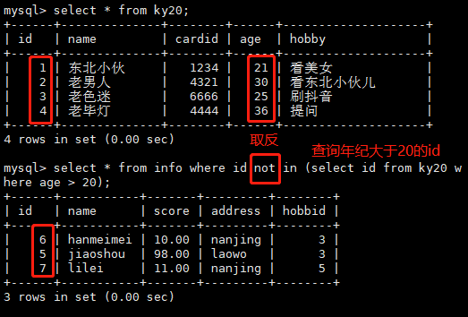 image-20220812111410290