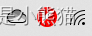 wifi 图标正常显示