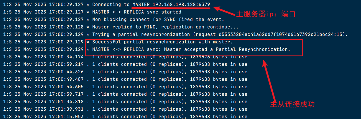 image-20231125170726876