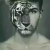 48