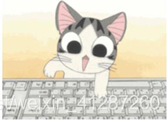 猫_静态图
