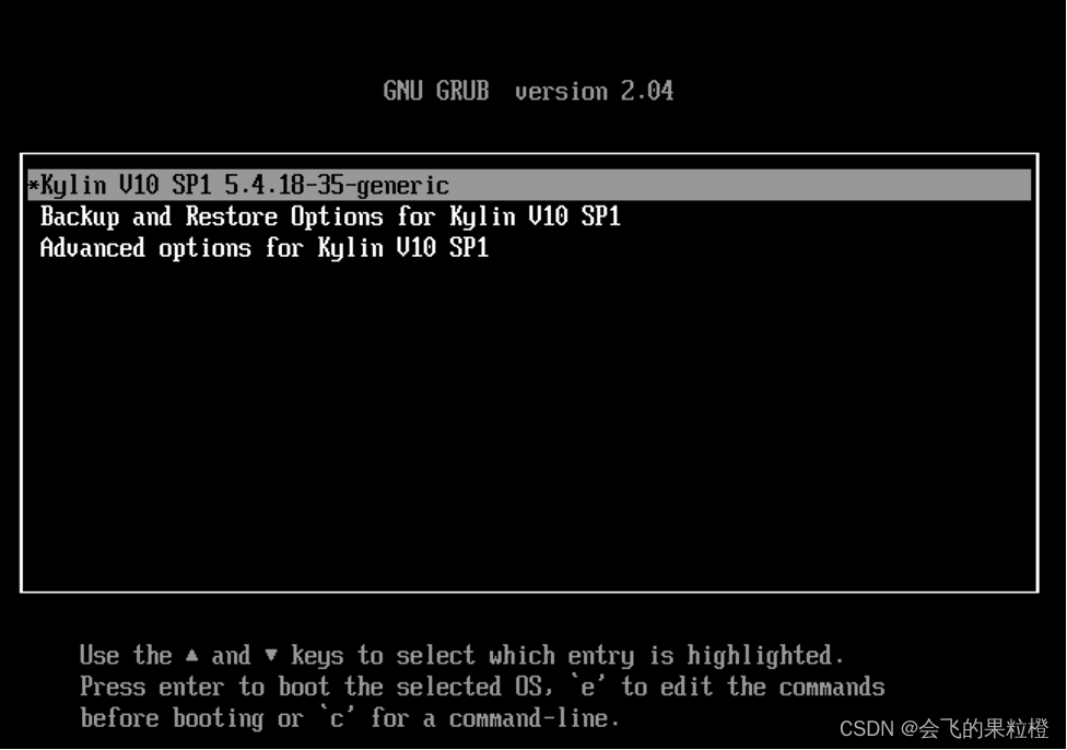 V10-SP1-grub页面.png