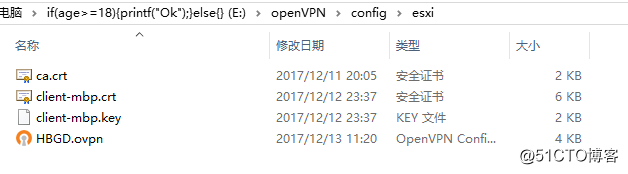 Windows上使用Open***客户端