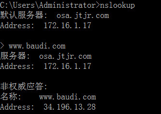 nslookup