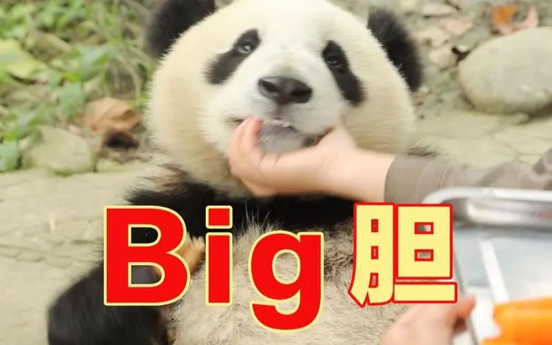 b012664925c6c4afd69baa0bd4e1a231.jpeg