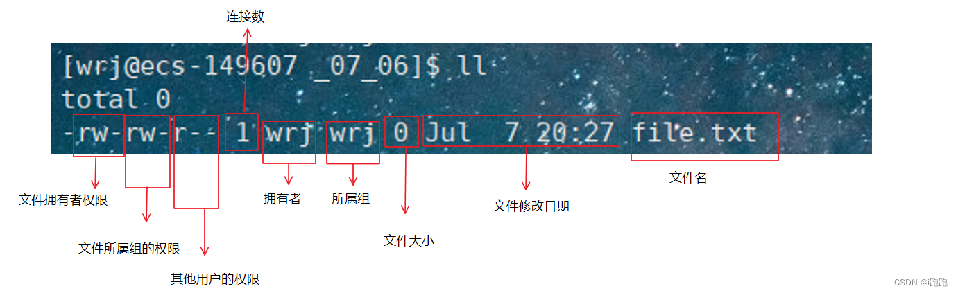 Linux Rwt 深入理解Linux权限:rwx权限详解与umask规则-CSDN博客