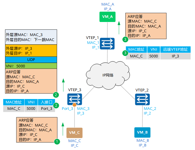 ARP应答报文转发流程