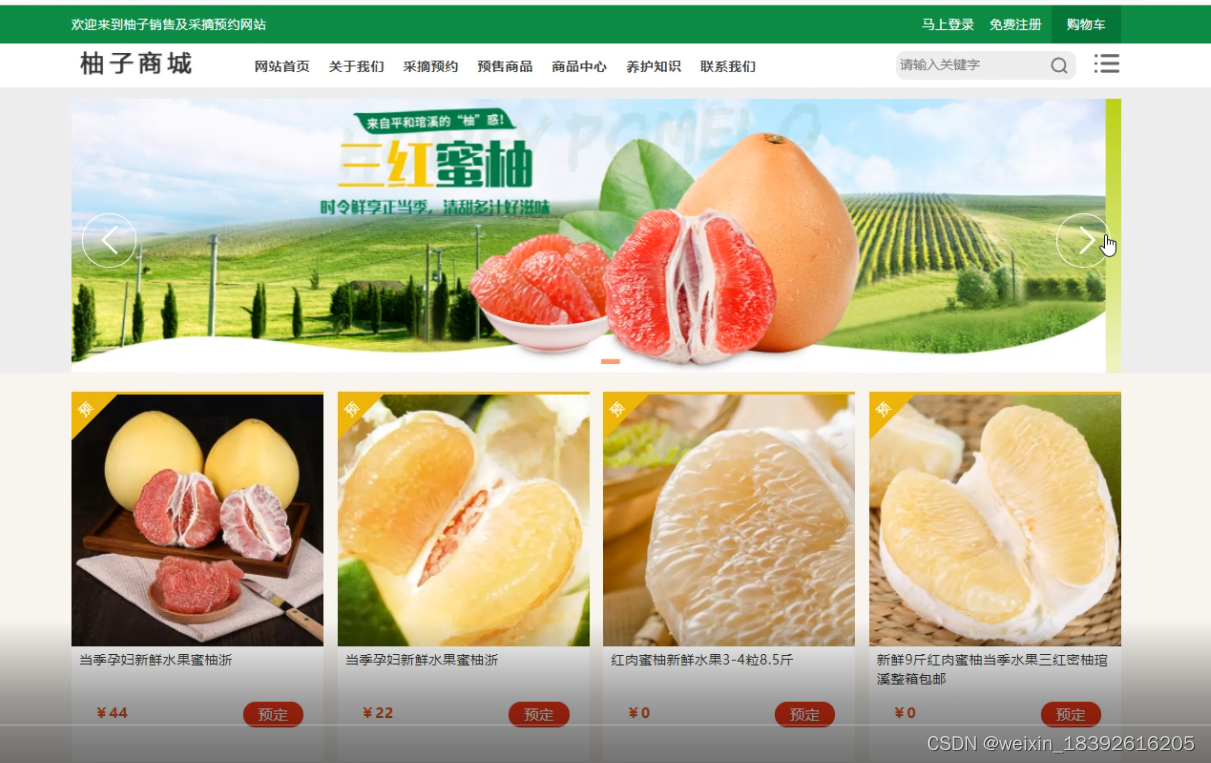 基于php柚子商城