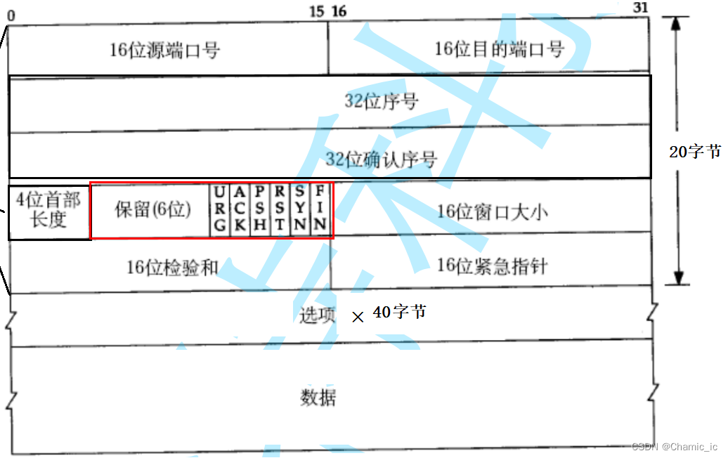 udp协议/tcp协议