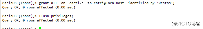 catci