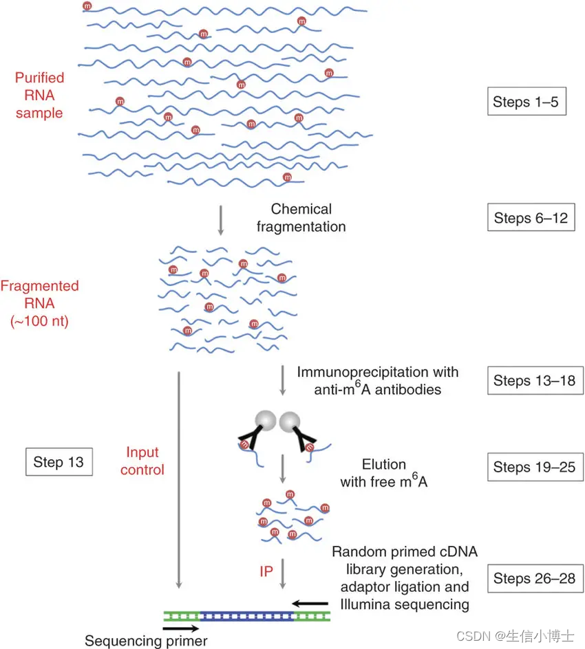 Ripseq rip-seq input m6a input chip-seq input_rip-seq pipline-CSDN博客