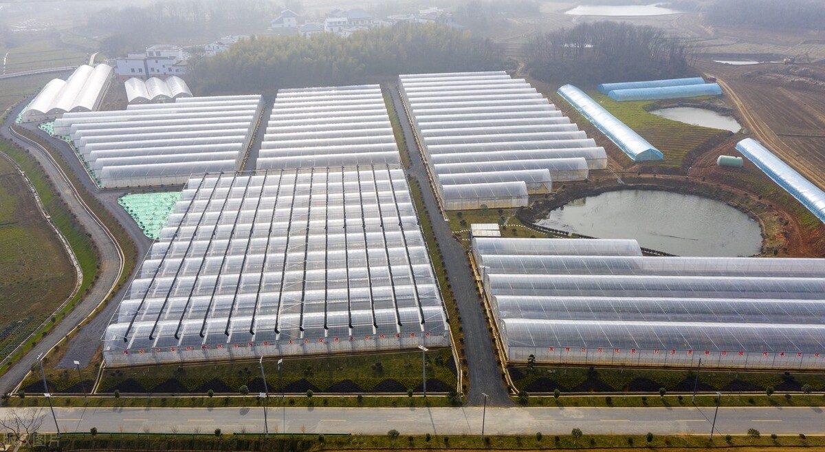 温室大棚冬季管理需要注意什么？这几点很重要