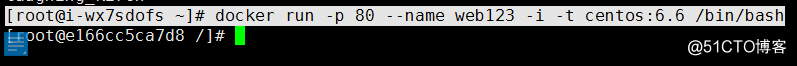 Docker 容器部署Apache静态网站