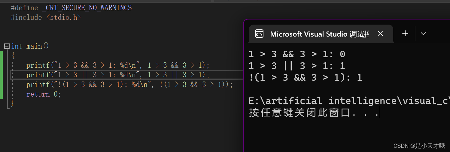 C语言（逻辑运算符和条件运算符）