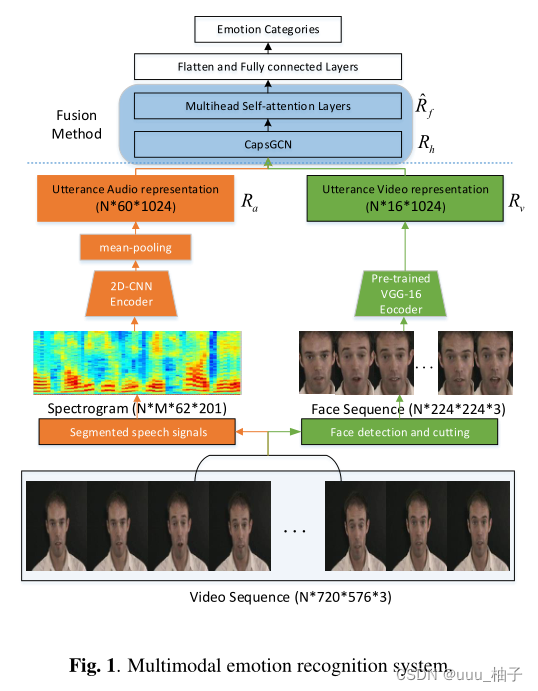 Multimodal emotion recognition with capsule graph convolutional based ...
