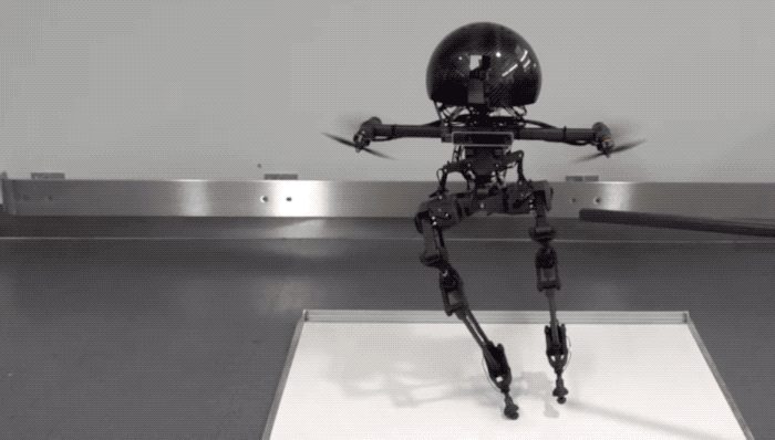 a6175bf12f75439bc8553a9ff192b6a9.gif