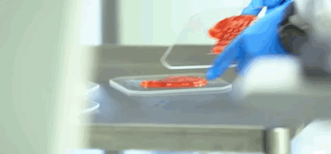 5c422f9604683054a035ec0567e5be4f.gif