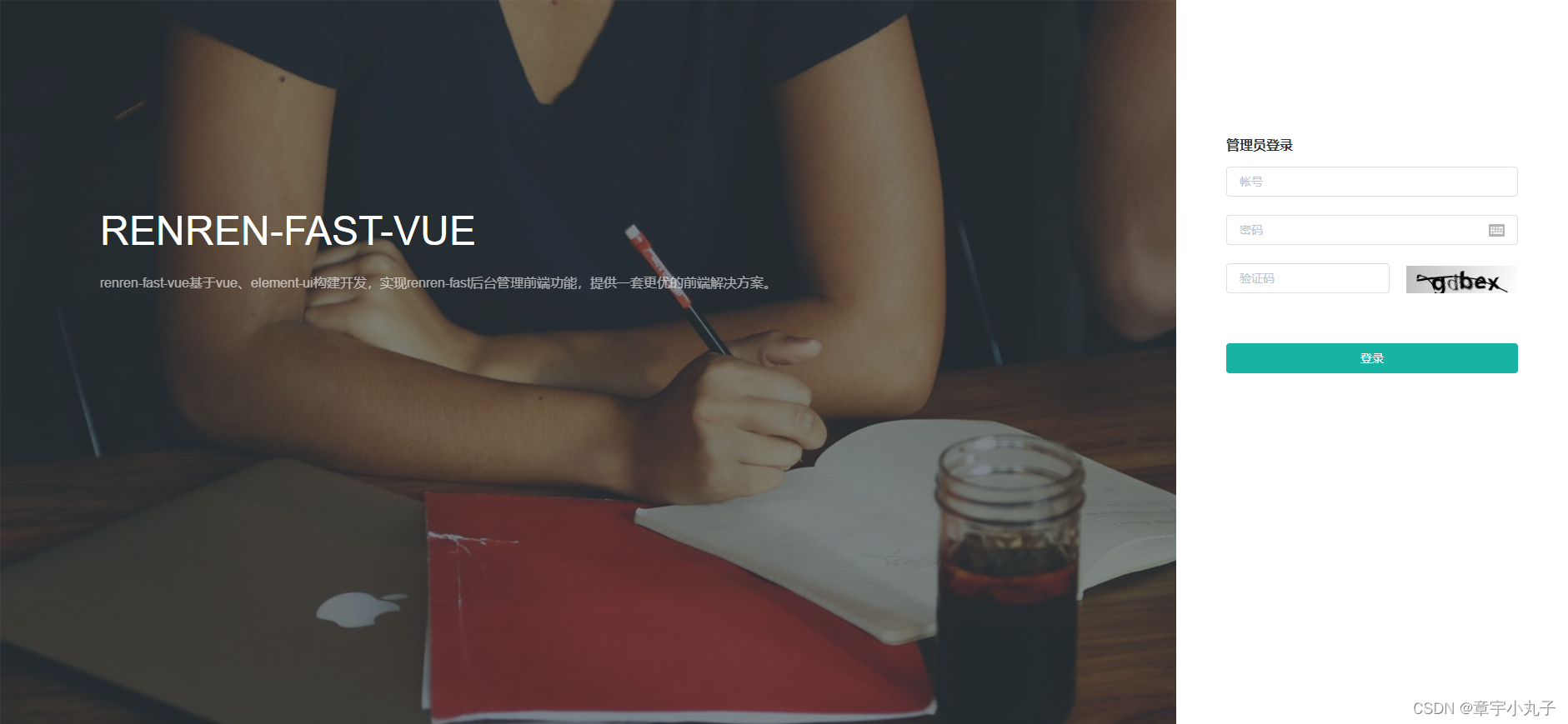 在这里插入图片描述