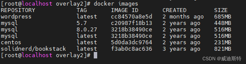 Linux系统: docker删除镜像出现错误Error response from daemon: conflict: unable to ...