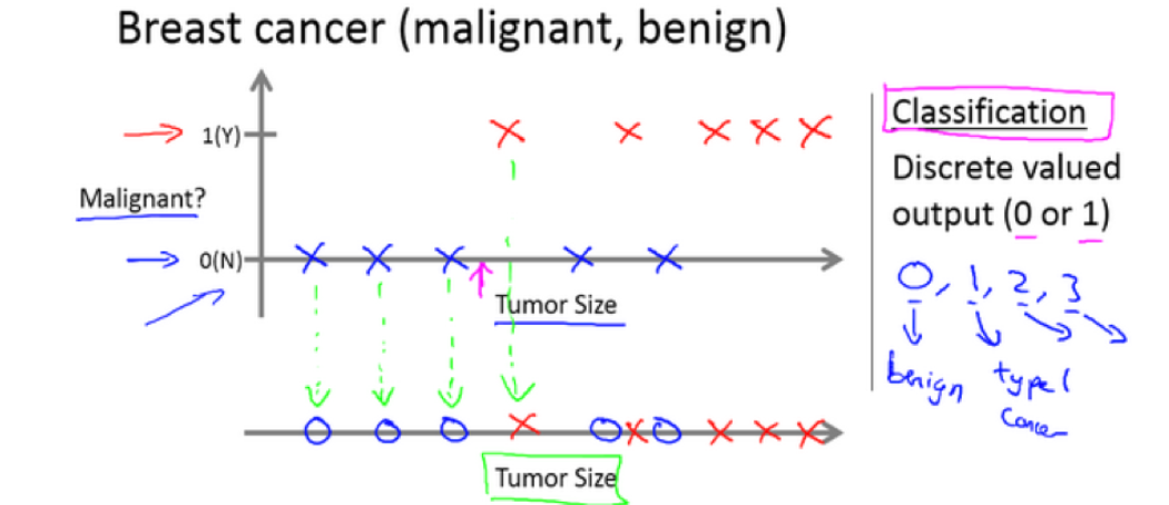 image-20210330205544880
