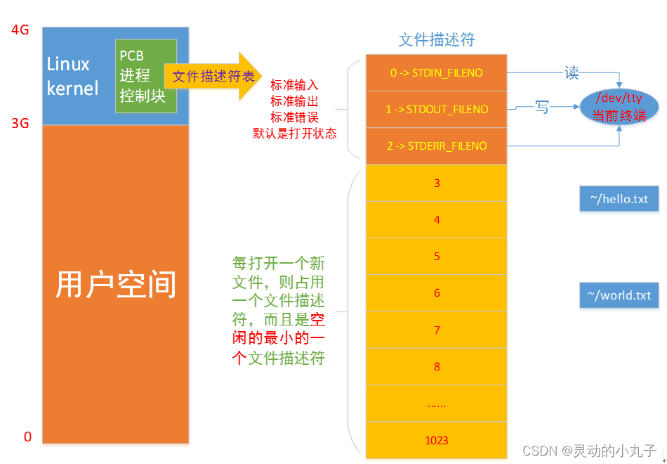 文件描述符