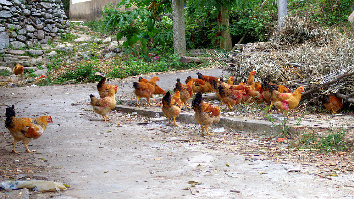 罗浮山自驾小结