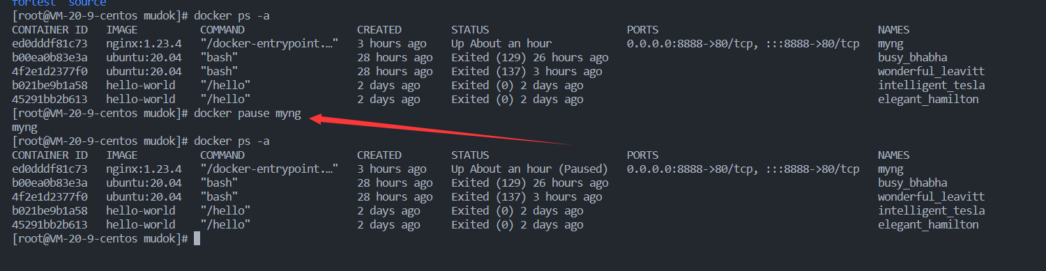 Docker 使用基础（3）—容器_docker --cpus