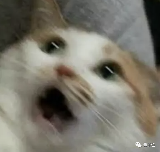 d5fcb972e30621949c03a39d3818b0f7.png