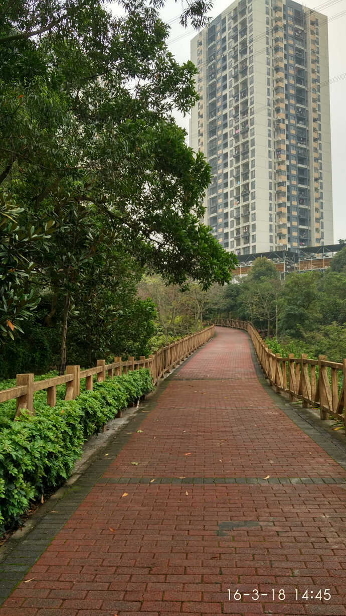 深圳绿道-观澜段-乡村一号