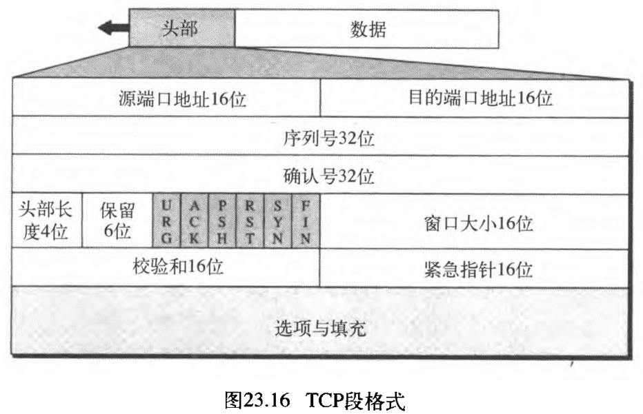 图23.16 TCP段格式