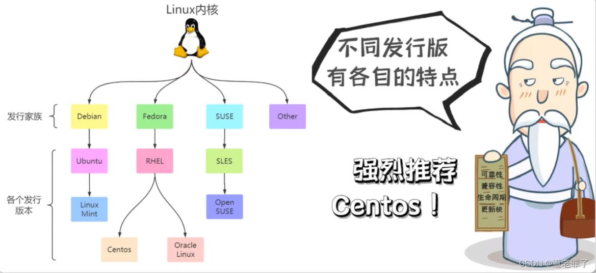 生产环境部署与协同开发 Linux_生产环境发布流程详解 csdn-CSDN博客