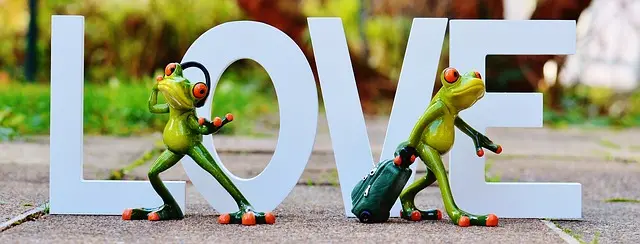 love-1089665_640.jpg
