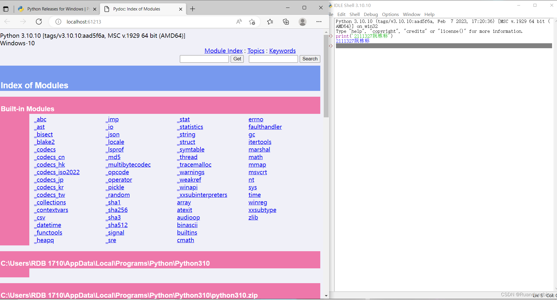 Python-CSDN博客