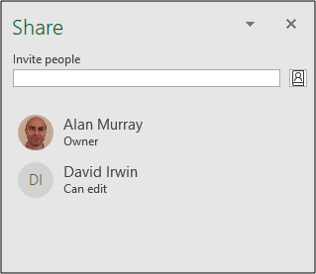 The Share pane with a list of people a workbook was shared with.