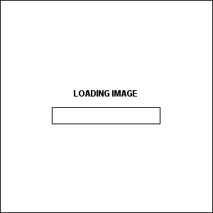 loading等待载入正在加载的动画GIF图片圆形图标