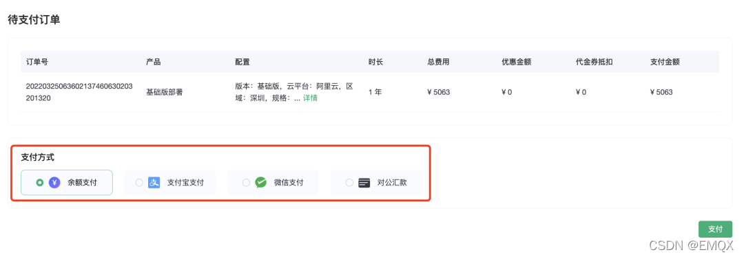 多种方式支付
