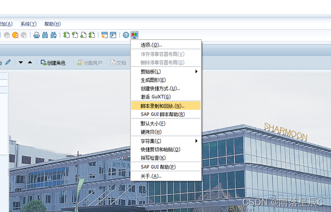 SAP 开启录制与回放功能_sap脚本录制-CSDN博客
