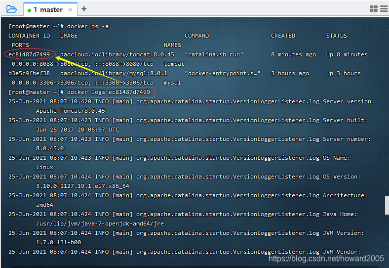 docker logs ec81487d7499