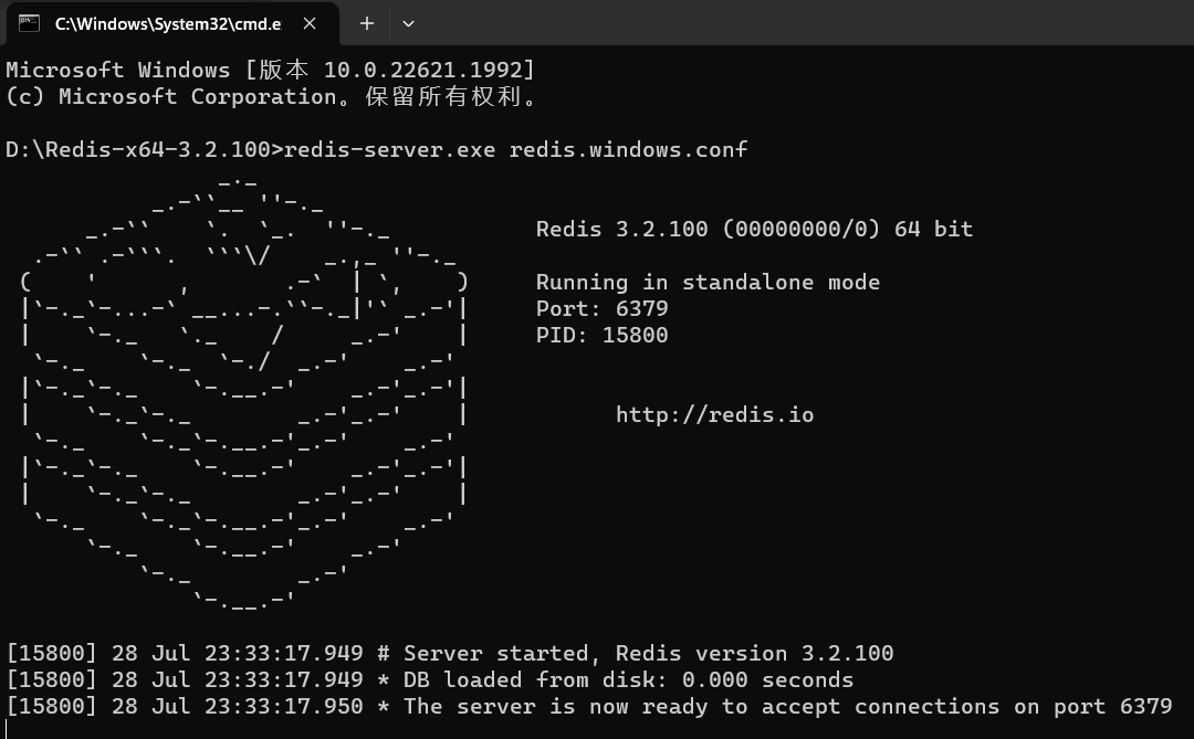 image-20230728233813773