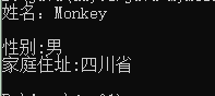 命令行运行结果