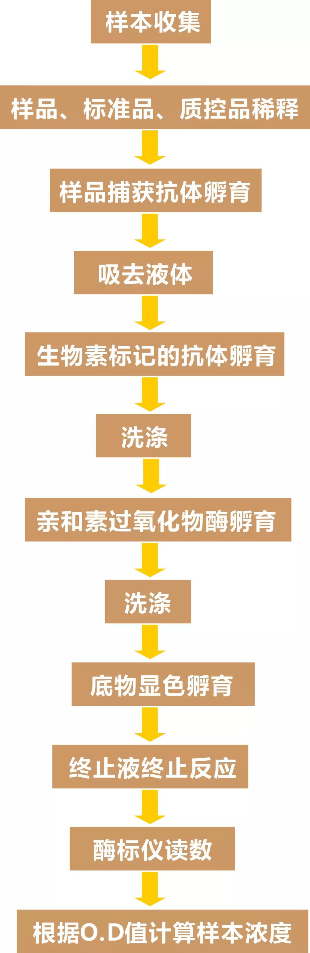 b5814c5834bded8490448a7686e82329.png