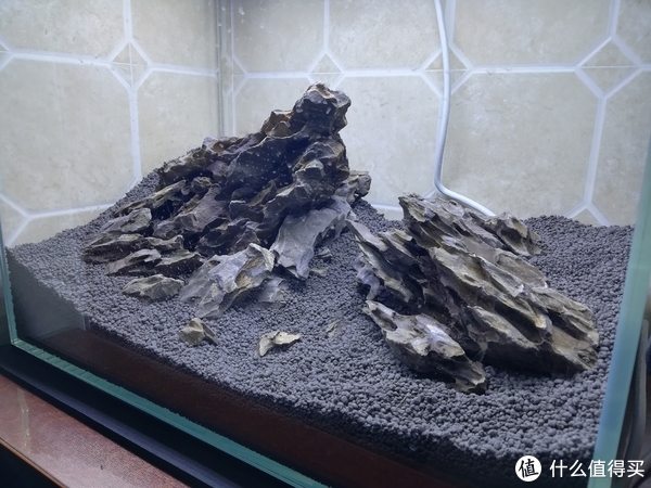 开缸种草篇