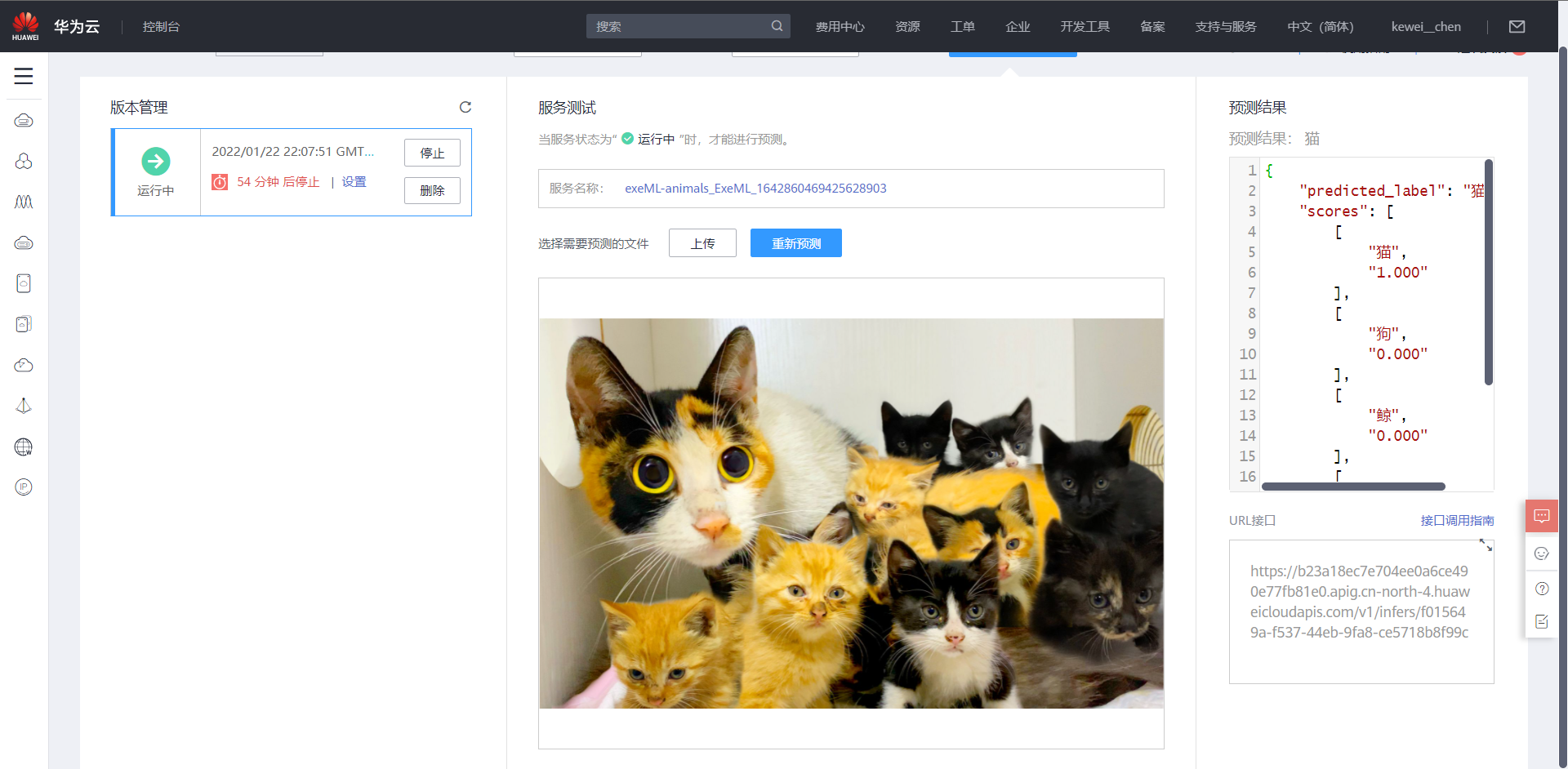 image-20220122221544151