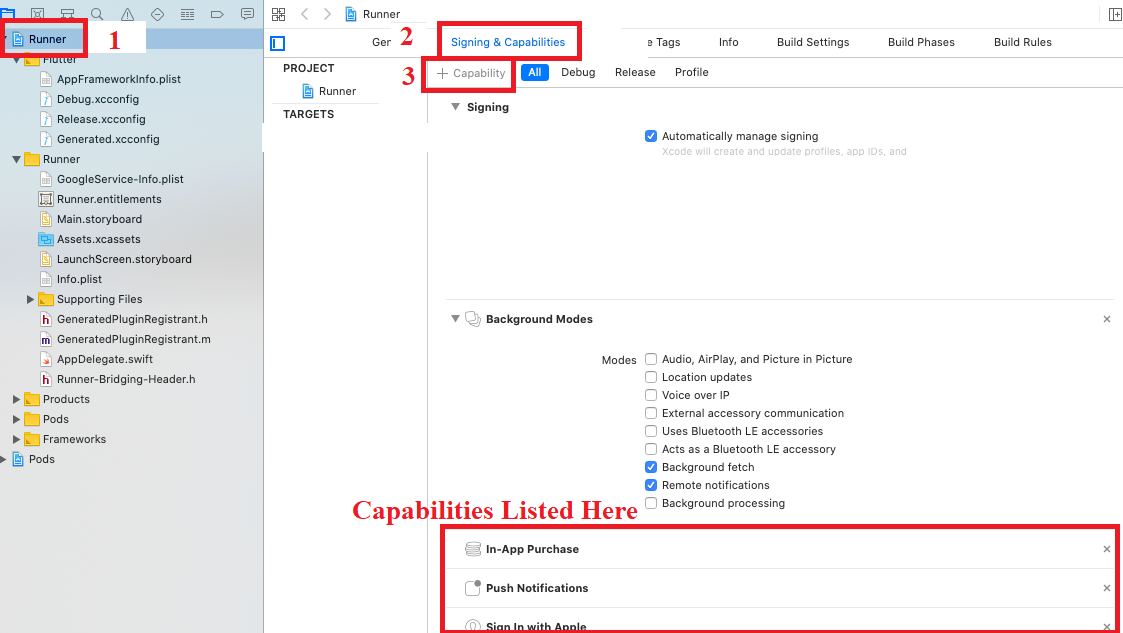 XCode screen showing the capabilities for the project